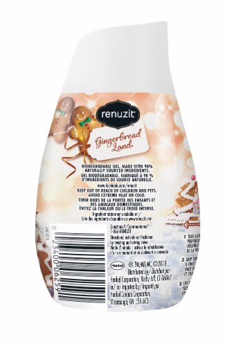 Renuzit Limited Edition Gingerbread Land Gel Air Freshener Perspective: back