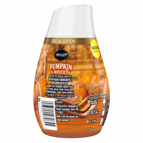 Renuzit® Adjustables Pumpkin Spice Gel Air Freshener Perspective: back