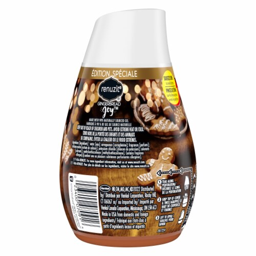 Renuzit® Adjustables Gingerbread Joy Gel Air Freshener Perspective: back