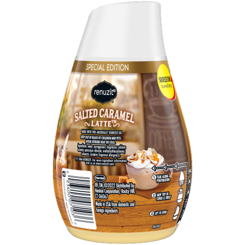 Renuzit® Adjustables Salted Caramel Latte Gel Air Freshener Perspective: back
