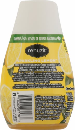 Renuzit® Sparkling Lemon™ Adjustables Gel Air Freshner Perspective: back