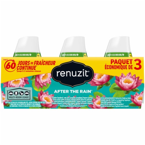 Renuzit® After the Rain Gel Air Fresheners Value Pack Perspective: back