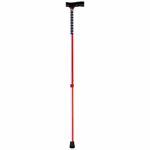 Designer Derby Cane - Blue Perspective: back