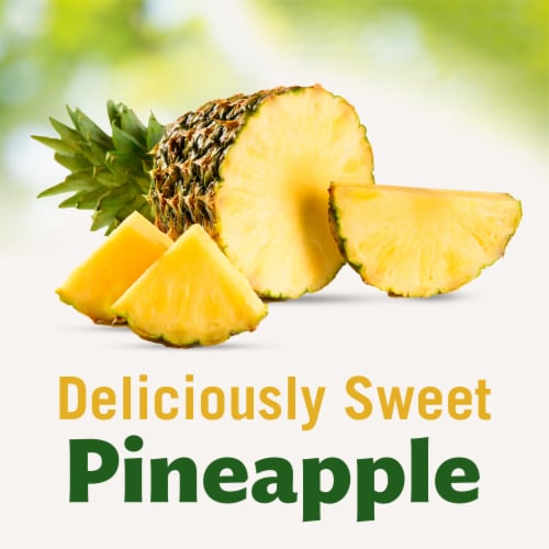 Del Monte® Sliced Pineapple in 100% Juice Canned Fruit Perspective: back
