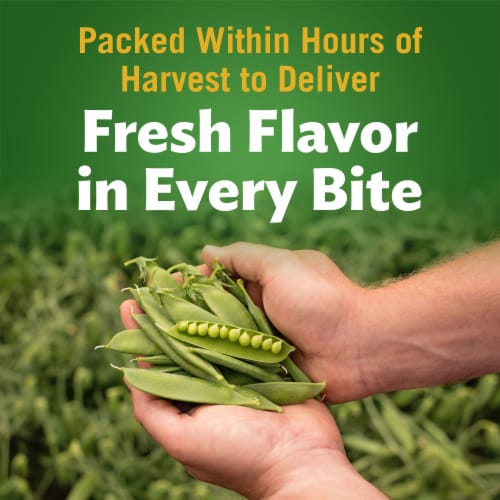 Del Monte Quality® Special Blends Peas and Carrots Canned Vegetables Perspective: back