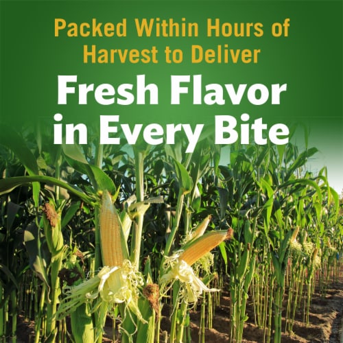 DEL MONTE Golden Sweet Whole Kernel Corn Canned Vegetables Perspective: back