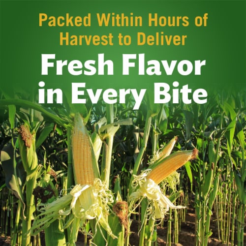 Del Monte® Fresh Cut Golden Sweet Whole Kernel Corn Canned Vegetables Perspective: back