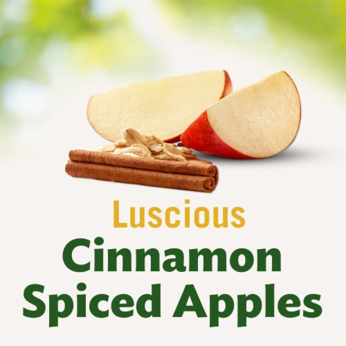 DEL MONTE FRUIT & OATS Apple Cinnamon FRUIT CUP Snacks Perspective: back