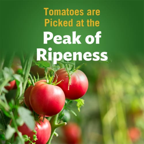 Del Monte® Traditional Pasta Sauce Perspective: back