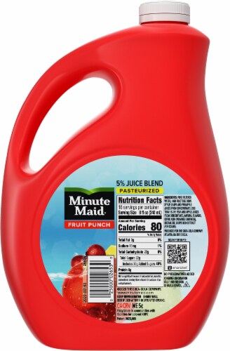Minute Maid Fruit Punch Fruit Juice Drink Perspective: back