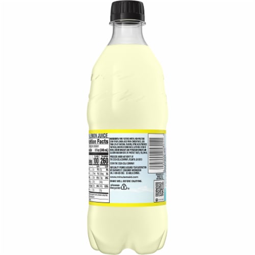 Minute Maid Lemonade Perspective: back