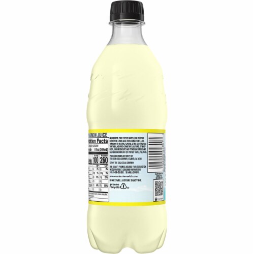 Minute Maid Lemonade Perspective: back