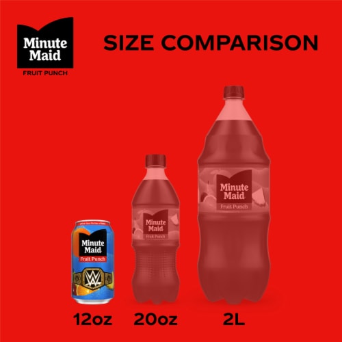 Minute Maid® Fruit Punch Made with Real Fruit Juice Bottles Perspective: back