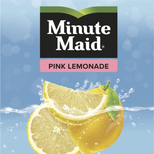 Minute Maid® Pink Lemonade Fruit Drink Cans Perspective: back