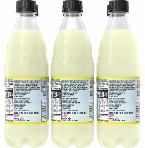 Minute Maid Lemonade Fruit Juice Drink Bottles Perspective: back