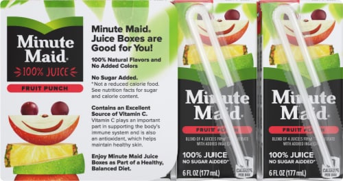 Minute Maid Fruit Punch Juice Boxes Perspective: back