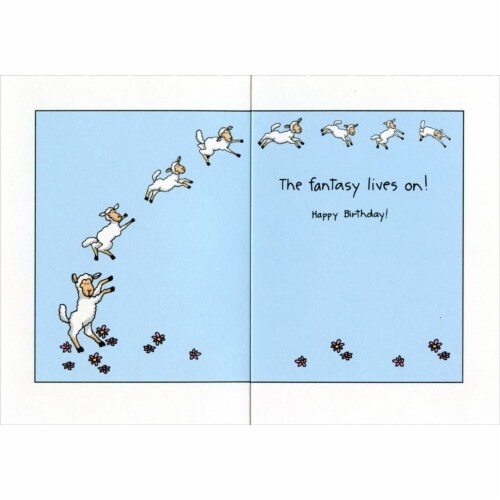 Oatmeal Studios Older But Wiser Funny / Humorous Birthday Card Perspective: back