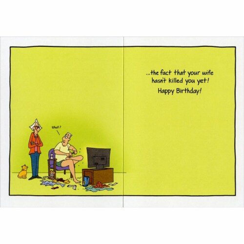 Oatmeal Studios Birthday Message on TV Funny / Humorous Masculine Birthday Card for Man Perspective: back