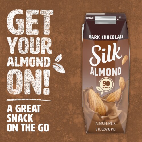 Silk Dairy Free Shelf Stable Dark Chocolate Almond Milk Perspective: back