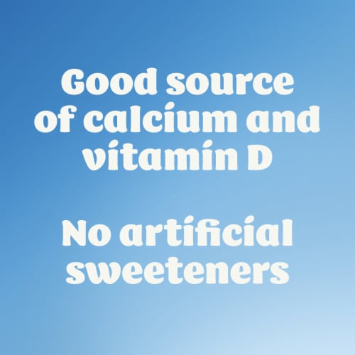 Silk Dark Chocolate Coconut Dairy Free Almond Milk Yogurt Cup Perspective: back