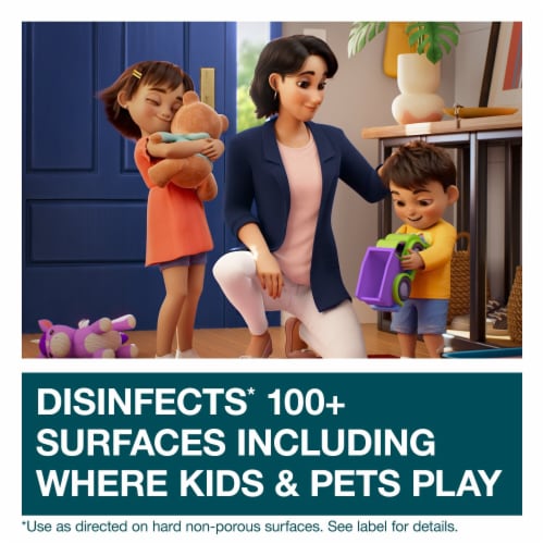 Family Guard™ Disinfectant Spray Citrus Perspective: back