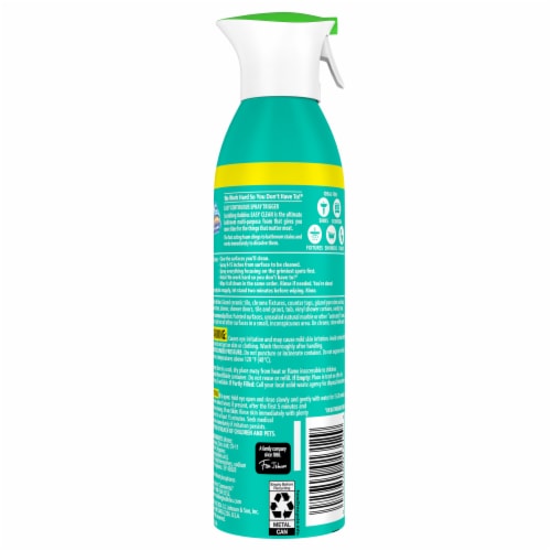Scrubbing Bubbles Easy Clean Multi-Purpose Cleaner, Continuous Spray Can, 13.58 oz Perspective: back