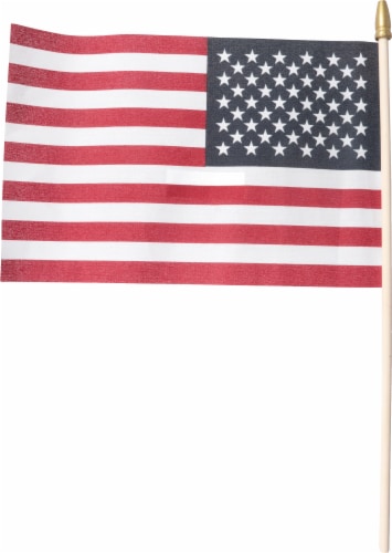 Annin Flagmakers American Hand Flag Perspective: back