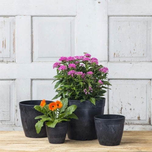 Novelty Dolce Round Planter - Black Perspective: back