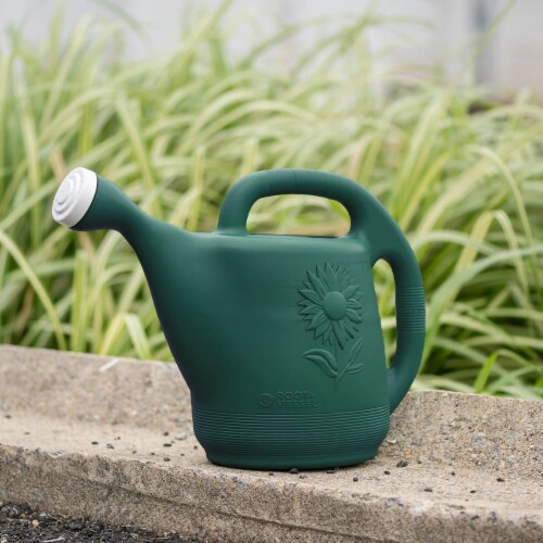 Novelty Classic Watering Can, Green, 2 Gallon Perspective: back