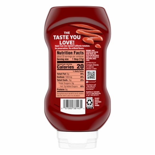 Hunt’S Tomato Ketchup Perspective: back
