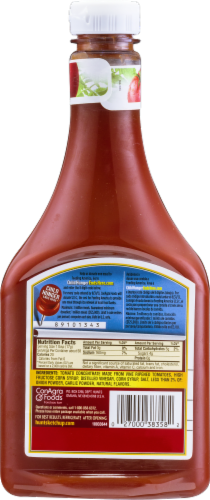 Hunt's Tomato Ketchup Perspective: back