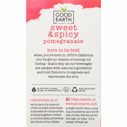 Good Earth® Sweet and Spicy Flavored Green Tea Perspective: back