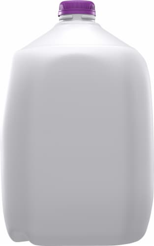 Shamrock Farms Fat Free Skim Milk Perspective: back