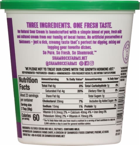 Shamrock Farms® Original Sour Cream Perspective: back