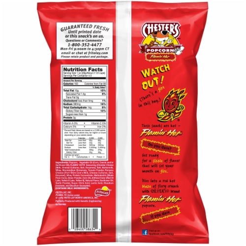 Chester's Flamin' Hot Popcorn Perspective: back