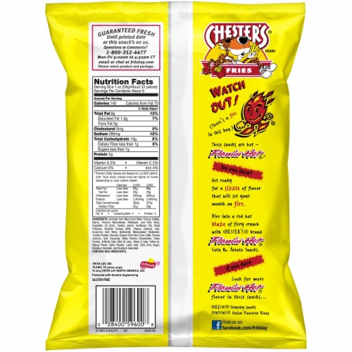 Chester's Flamin' Hot Fries Perspective: back