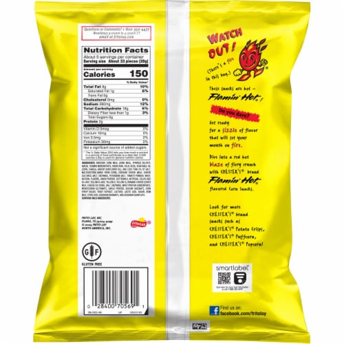 Chester's® Flamin' Hot Fries® Corn Chips Perspective: back