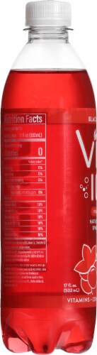 Vita Ice Naturally Flavored Sparkling Water Black Raspberry 17 fl oz Perspective: back
