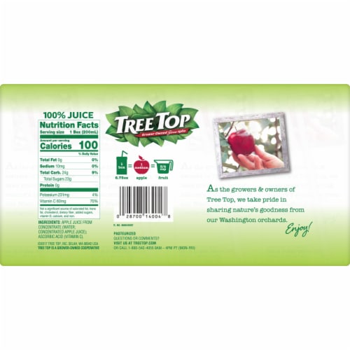 Tree Top 100% Apple Juice Boxes Perspective: back