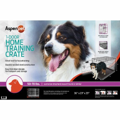 Aspen Pet Large Pet Training Crate Perspective: back