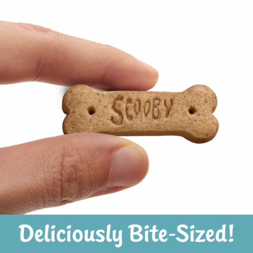 Kellogg's SCOOBY-DOO! Honey Baked Graham Cracker Snacks Perspective: back