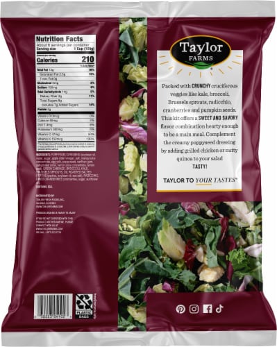Taylor Farms® Sweet Kale Family Sized Chopped Salad with Poppyseed Dressing Salad Kit Perspective: back