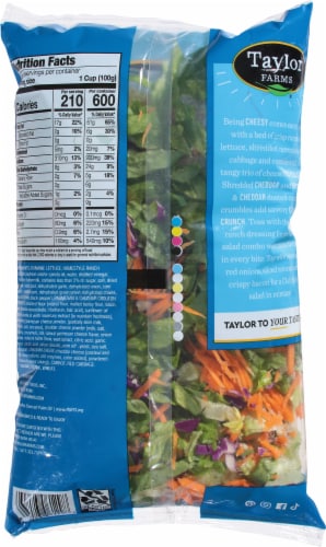 Taylor Farms® Cheddar Ranch Chopped Salad Kit Perspective: back