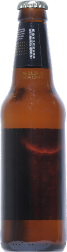 Brooklyn Brewery Blast Perspective: back