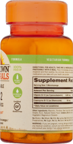 Sundown Naturals Dissolvable B12 6000 mcg Cherry Flavored Microlozenges Perspective: back