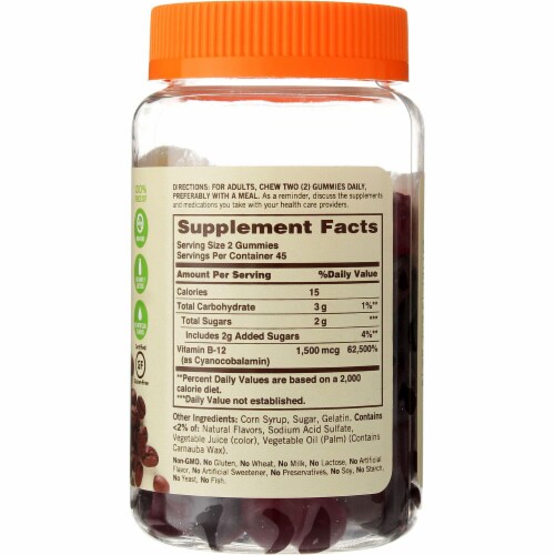Sundown Naturals Vitamin B-12 Gummies, Chocolate & Coffee, 1500 mcg, 90 Ct Perspective: back
