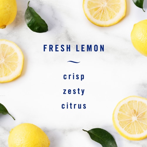 Febreze Kitchen Fresh Lemon Scent Odor-Fighting Air Freshener Aerosol Can Perspective: back