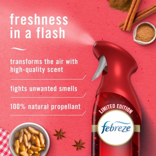 Febreze Air Effects Odor-Fighting Air Freshener Apple Cider Aerosol Can Perspective: back