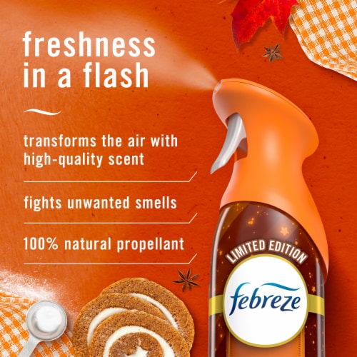 Febreze Air Effects Pumpkin Patch Aerosol Can Odor-Fighting Air Freshener Perspective: back