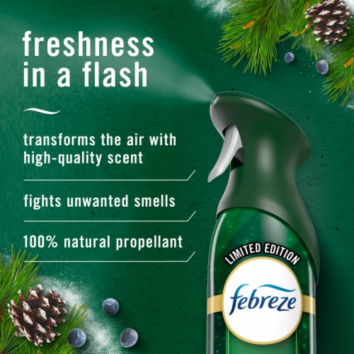 Febreze Air Effects Odor-Fighting Air Freshener Winter Spruce Aerosol Can Perspective: back